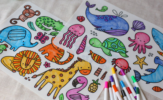 Silicone Reusable Colouring Mat with Pens